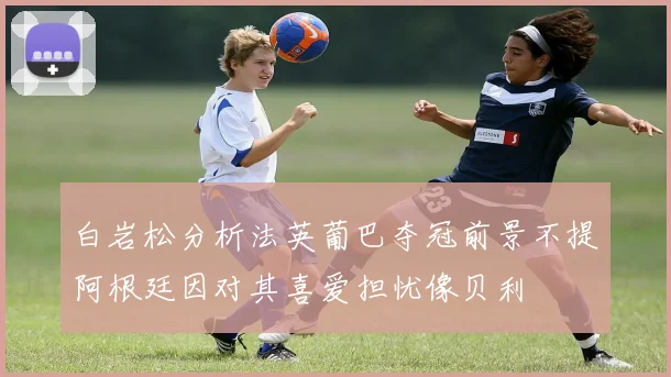 白岩松分析法英葡巴夺冠前景不提阿根廷因对其喜爱担忧像贝利